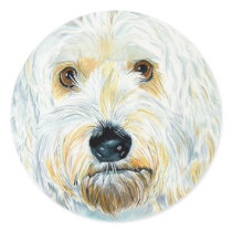 White Labradoodle Maggie Stickers