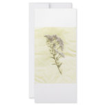 White lilac weed scanned in tissue background rack card design