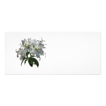 White Lilies Full Color Rack Card
