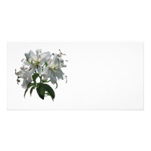 White Lilies Photo Cards