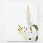 White lillys with copy space mousepads