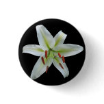 White Lily Button