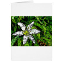 White Lily Mosaic Cards