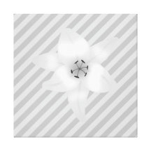 White Lily on a Grey Stripe Pattern. Canvas Prints
