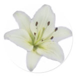 White Lily Stickers