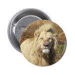 white lion pinback button