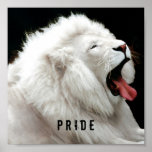 white lion Pride Poster posters