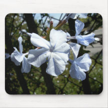 White Lobelia Mouse Pads
