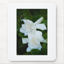 White Magnolia Blooms Mouse Pad