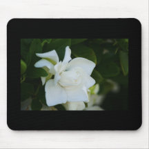 White Magnolia Blooms Mouse Pad