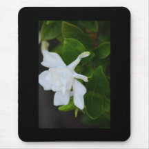 White Magnolia Blooms Mousepad
