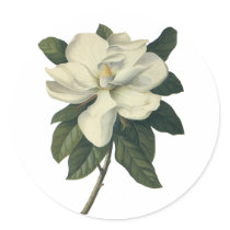 White Magnolia Blossom Round Stickers