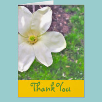 White Magnolia Blossom Thank You Card (photog) cards