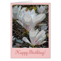 White Magnolia Blossoms Birthday Card