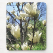 White Magnolia Branches Mouse Pads