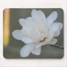 White Magnolia Centennial  Bloom Mouse Mats