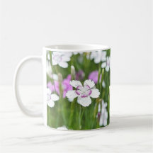 White Maiden Pinks Mugs