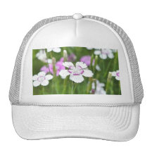 White Maiden Pinks Trucker Hat