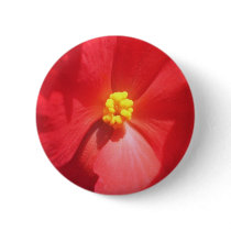White Mature Begonia flowers Pinback Button