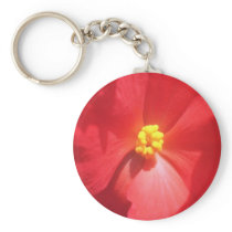 White Mature Begonia flowers Key Chain