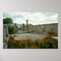 White Morocco, Roman ruin flowers Poster
