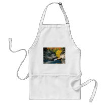 White Mountain National Forest, NH Aprons