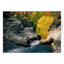 White Mountain National Forest, NH Greeting Card