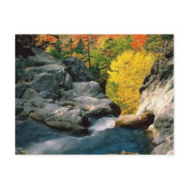 White Mountain National Forest, NH Postcards