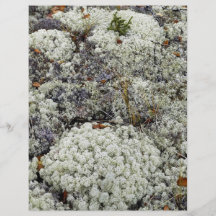 White Mountains National Recreation Area, Lichen Custom Flyer