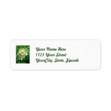 White Multiflora Roses Wildflower Custom Return Address Label