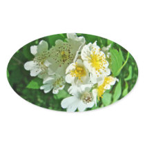 White Multiflora Roses Wildflower Oval Stickers