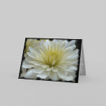 White Mum Greeting Card cards