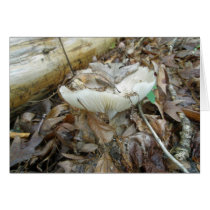 White Mushroom Coordinating Items Greeting Cards