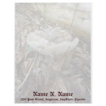 White Mushroom Coordinating Items Letterhead