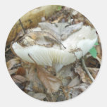 White Mushroom Coordinating Items Round Sticker