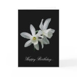 White Narcissus Birthday Card