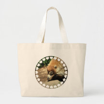 White Nosed Coati Canvas  Bag