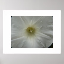 White on White-Print