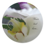 White Orchid Beauty Wedding Invitations Seals Round Sticker