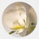 White Orchid Envelope Seal Event Wedding Sticker stickers