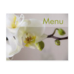 White Orchid • Menu Postcard