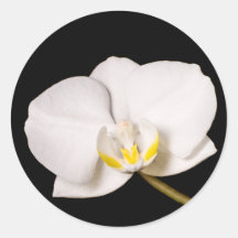 White Orchid On Black Stickers