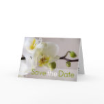 White Orchid Save the Date Card