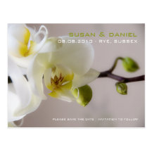 White Orchid • Save the Date Postcard