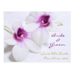 White Orchid Save the Date postcards