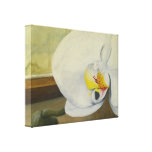 White Orchid Still Life Canvas Art Print Stretched Canvas Print
