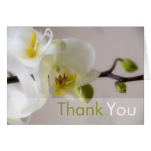 White Orchid Thank You Card