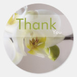 White Orchid • Thank You Sticker
