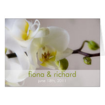 White Orchid • Wedding Invitation Greeting Card