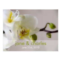 White Orchid • Wedding Invitation Postcard